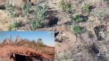 ������������� ����������� ����� ������� ���������� ���������� ����� �������� ������� ����������� �������