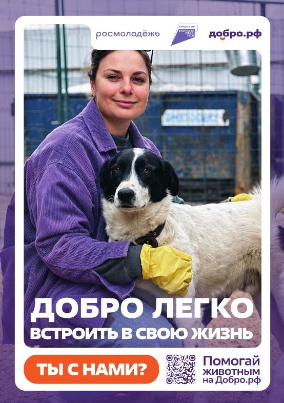 Добро.рф. — это место, где люди, организации и инициативы объединяются, чтобы делать полезное для общества Добро.рф. — это место, где люди, организации и инициативы объединяются, чтобы делать полезное для общества