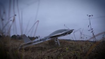Пульт в руках – твоё оружие, а небо – поле боя