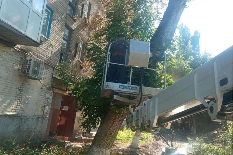 Коммунальщики приступили к спилу аварийных и сухостойных деревьев в кв 50 лет Октября Коммунальщики приступили к спилу аварийных и сухостойных деревьев в кв 50 лет Октября