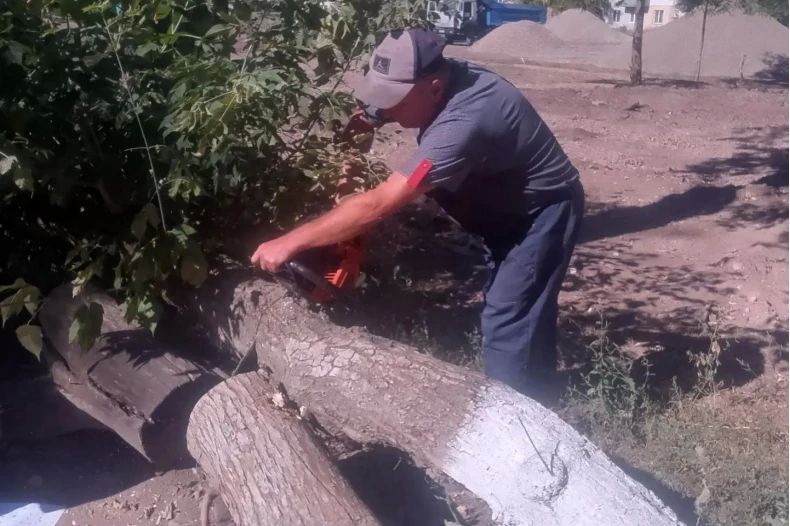 Коммунальщики приступили к спилу аварийных и сухостойных деревьев в кв 50 лет Октября