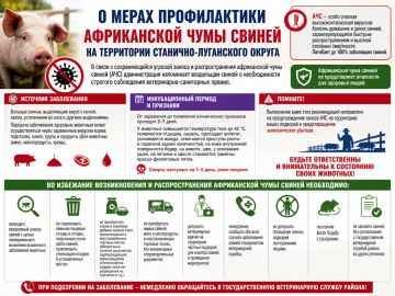 � ����� ������������ ����������� ���� ������ �� ���������� ��������-���������� ������
