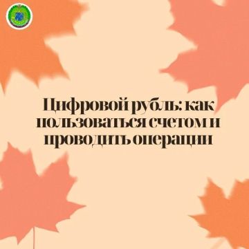 Цифровой рубль: как пользоваться счетом и проводить операции
