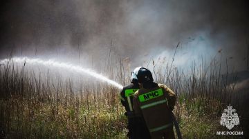 �� ����� � ���������� ������������ 31 �����, ���� ������� ���������