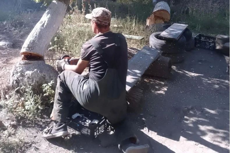 Коммунальщики приступили к спилу аварийных и сухостойных деревьев в кв 50 лет Октября Коммунальщики приступили к спилу аварийных и сухостойных деревьев в кв 50 лет Октября