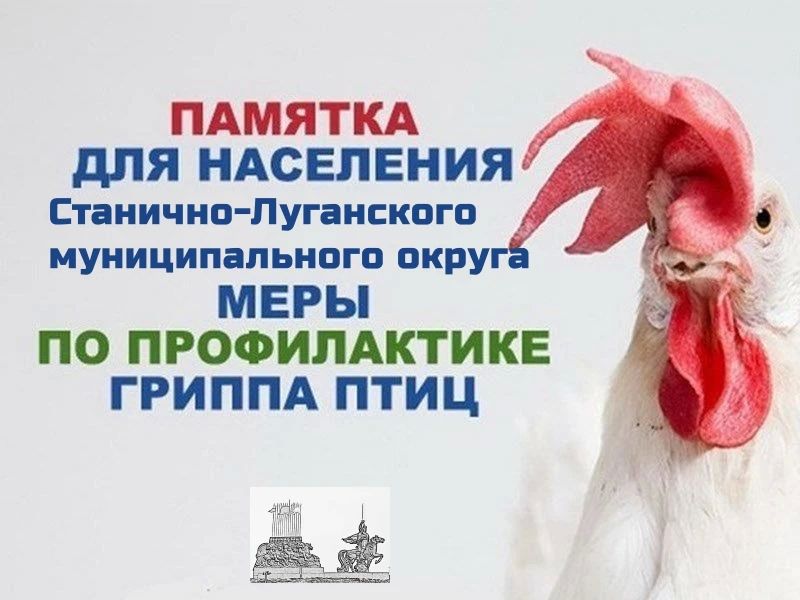 О мерах профилактики высокопатогенного гриппа птиц на территории Станично-Луганского округа