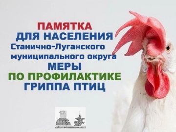 � ����� ������������ ����������������� ������ ���� �� ���������� ��������-���������� ������