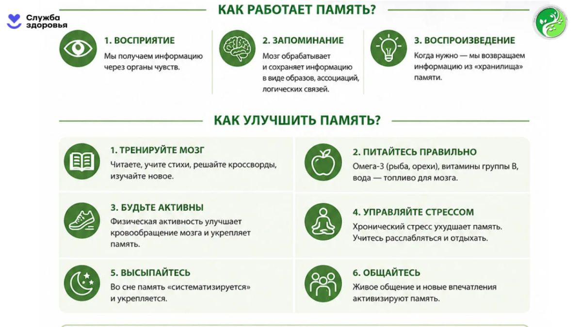 Память — это работа мозга, которую можно настроить! Память — это работа мозга, которую можно настроить!
