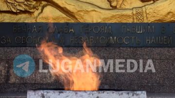 В Кировске прошли мероприятия, приуроченные к 83-й годовщине освобождения города от немецко-фашистских захватчиков