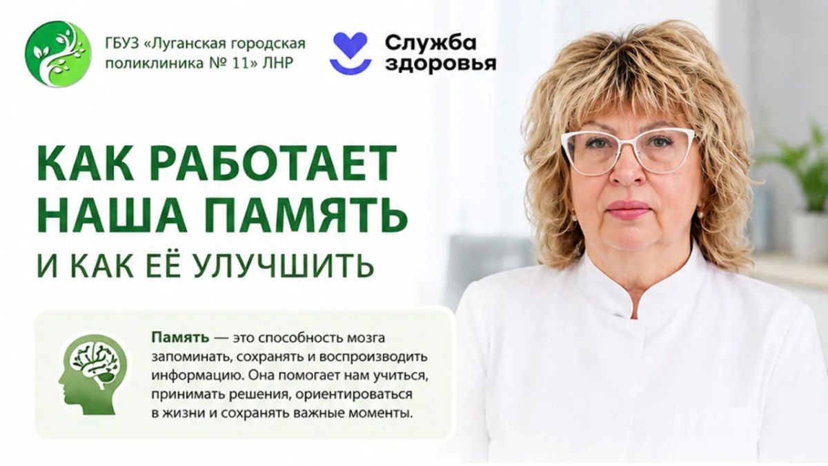 Память — это работа мозга, которую можно настроить!