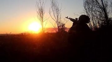 Более 400 украинских беспилотников уничтожили над ЛНР за месяц