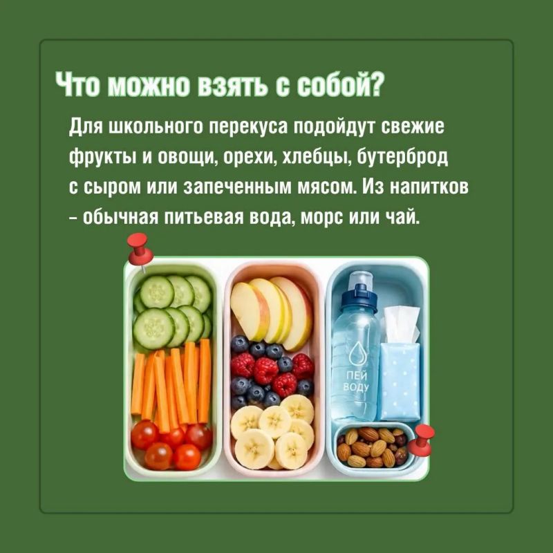 Перекус в школу: собираем правильно! Перекус в школу: собираем правильно!