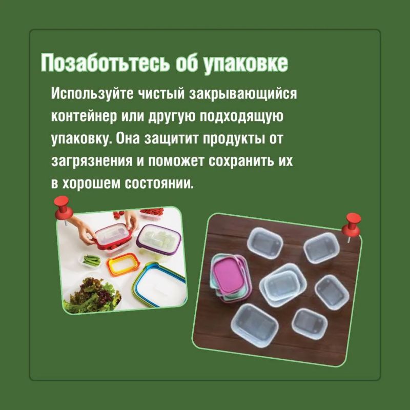 Перекус в школу: собираем правильно! Перекус в школу: собираем правильно!