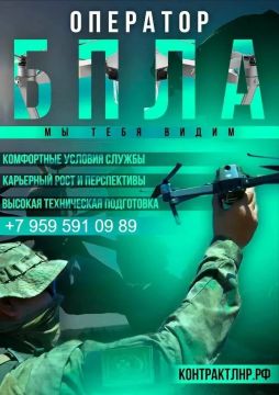 #Служба