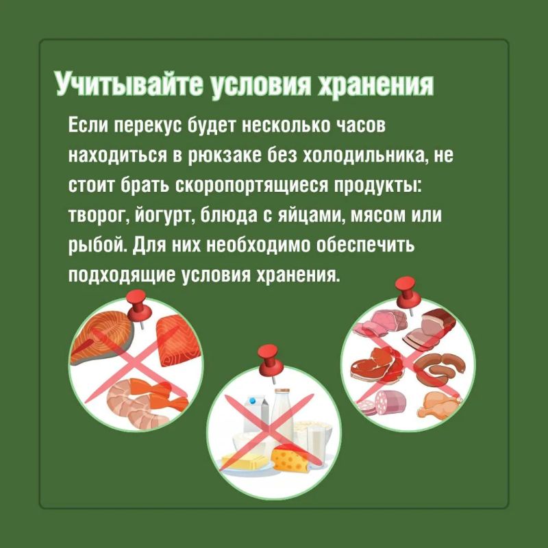 Перекус в школу: собираем правильно! Перекус в школу: собираем правильно!