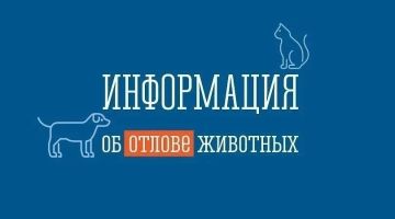���������� �� ������ ������������ ��������
