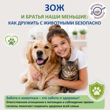 ��� � ������ ���� �������: ��� ������� � ��������� ���������