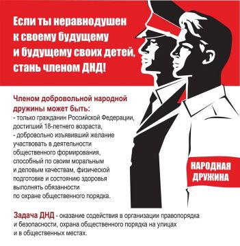 ДЛЯ ЧЕГО НУЖНЫ ДРУЖИННИКИ?