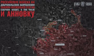 Успехи под Добропольем. Давненько не обновляли обстановку на Добропольском направлении, где российские войска ведут активное наступление в окрестностях Доброполья