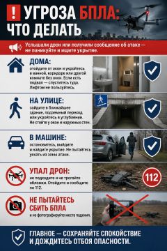 Угроза БПЛА: что делать?. Услышали дрон или получили сообщение об атаке — не паникуйте и ищите укрытие Дома: отойдите от окон и укройтесь в ванной, коридоре или другой комнате без окон