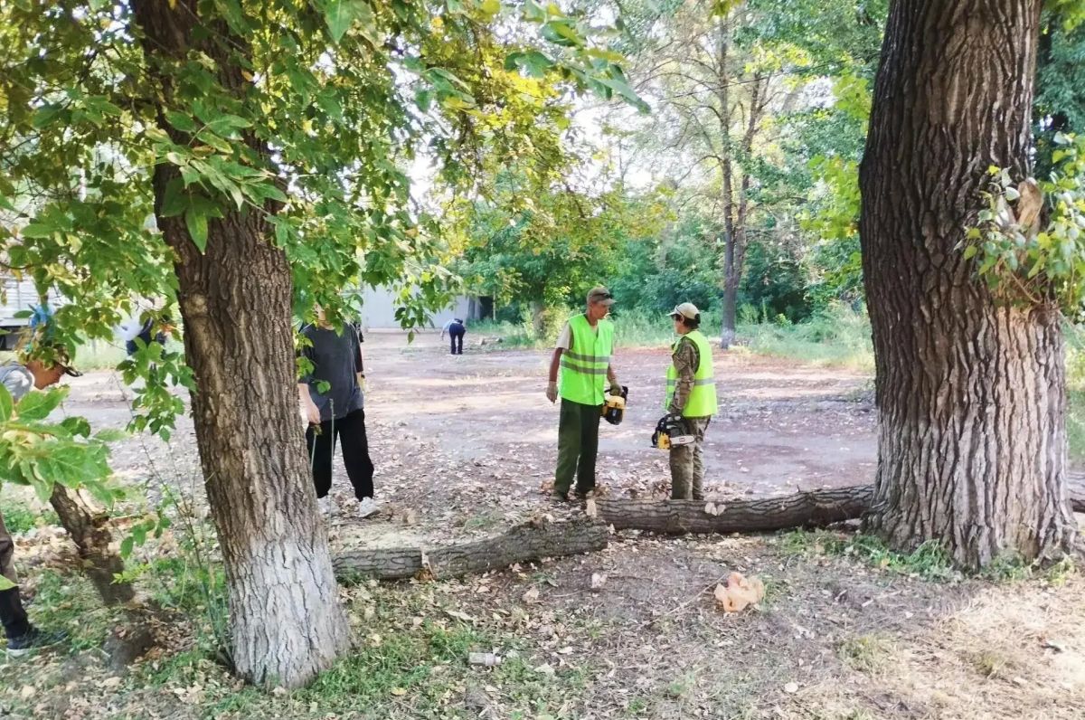 После публикации «Блокнота» власти вспомнили о сквере им. Воронова в Луганске После публикации «Блокнота» власти вспомнили о сквере им. Воронова в Луганске