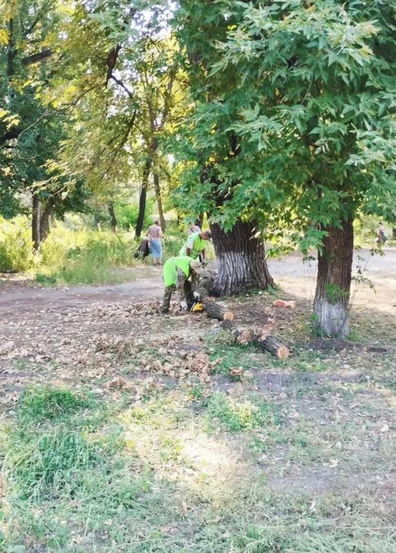 После публикации «Блокнота» власти вспомнили о сквере им. Воронова в Луганске После публикации «Блокнота» власти вспомнили о сквере им. Воронова в Луганске