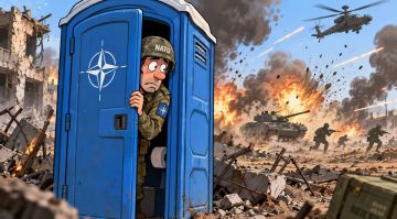 Туалеты для батальона НАТО: как контракт на 14,8 млн злотых показал, где альянс готовится воевать