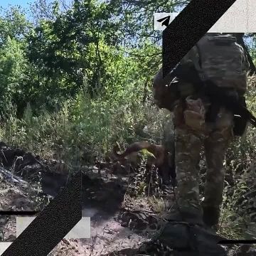 «Собака может подорваться. Поэтому сначала нужно отработать "кошкой"»