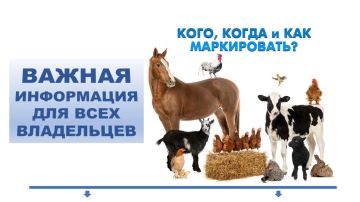 ВАЖНО ДЛЯ ВЛАДЕЛЬЦЕВ ЛИЧНЫХ ПОДСОБНЫХ ХОЗЯЙСТВ!