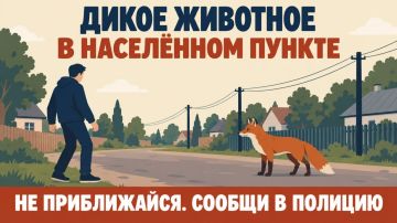 ��� ������ ��� ����������� ������ ��������� � ���������� ������