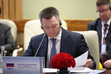 Игорь Краснов: «Пространство БРИКС – союз, способный формировать стандарты правосудия XXI века»