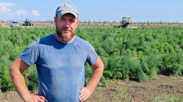 На стол и в букет: Фермер из Луганска впервые в ЛНР посадил на своих полях спаржу