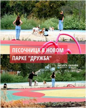 В луганском парке «Дружба», который ещё не открыли, вновь появились гости