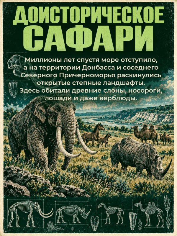 Донбасс, который вы не знали Донбасс, который вы не знали