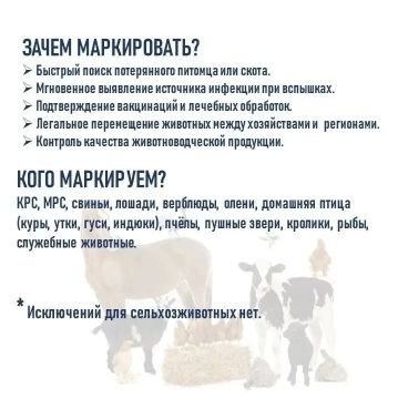 � ���������� �������� ��������� �� ������������ ���������� ��������