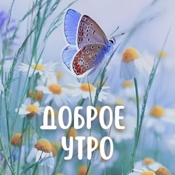 Сегодня Среда – 9 Сентября