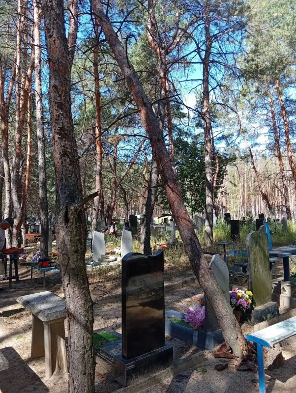 Владимир Чернев: По обращениям жителей, а также в ходе планового мониторинга, специалистами МБУ «Ритуальная служба» выполнен срез аварийных деревьев на кладбище в селе Чмыровка Владимир Чернев: По обращениям жителей, а также в ходе планового мониторинга, специалистами МБУ «Ритуальная служба» выполнен срез аварийных деревьев на кладбище в селе Чмыровка