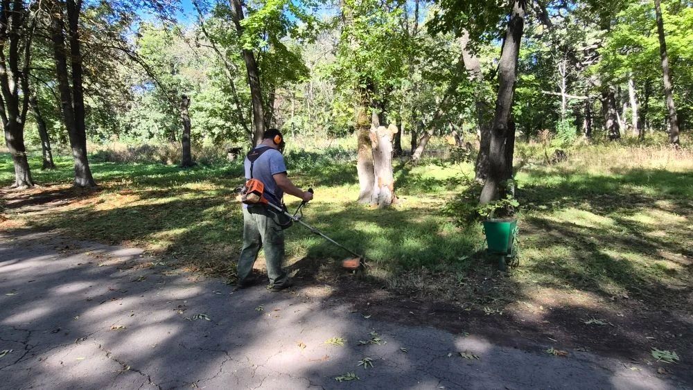 Учреждения культуры городского округа продолжают свою работу Учреждения культуры городского округа продолжают свою работу