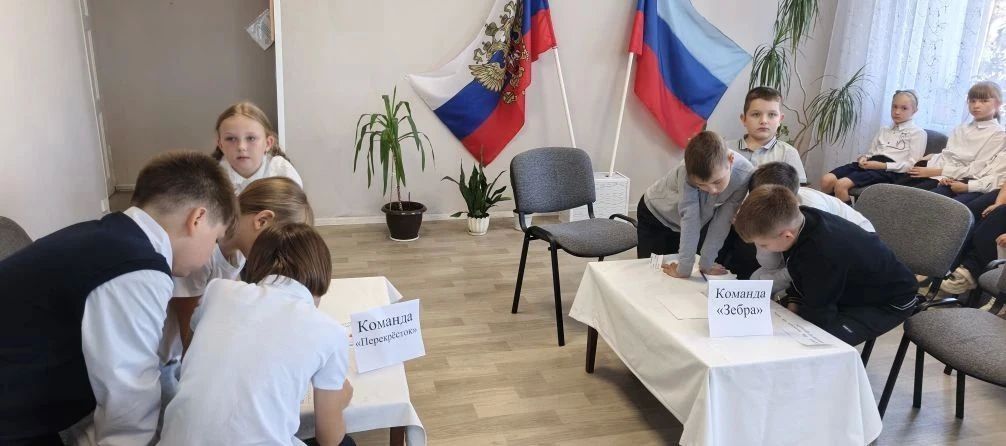 «Знатоки дорожного движения» «Знатоки дорожного движения»