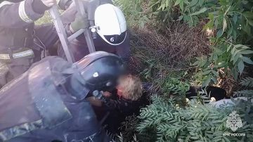 64-летняя женщина провалилась в открытый люк в Краснодоне ЛНР