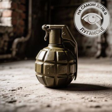 Меловский район. Мужчина хранил боевую гранату у себя в шкафу