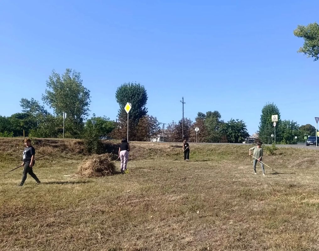 Чистый посёлок — общее дело! Чистый посёлок — общее дело!