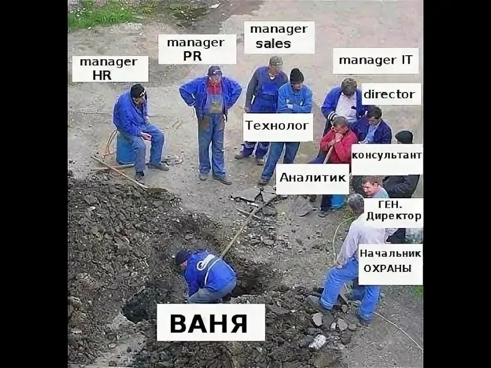 186 профессий за счет бюджета: кто может бесплатно выучиться на новую специальность