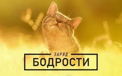 Заряд бодрости вместо искусственной эйфории