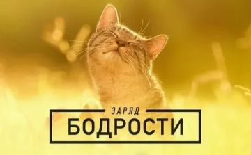 ����� �������� ������ ������������� �������