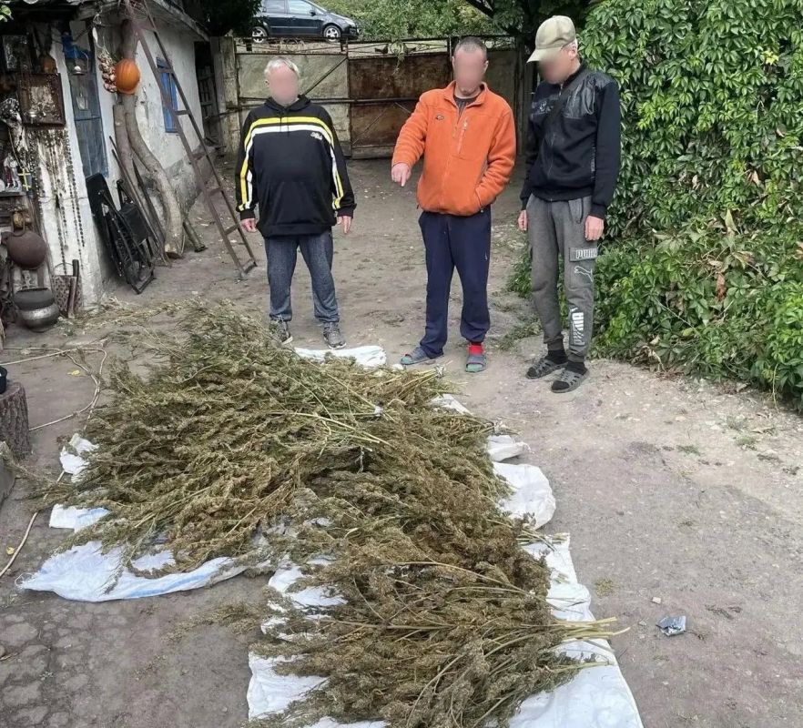 В Белокуракино у местного жителя изъяли 5,7 кг марихуаны В Белокуракино у местного жителя изъяли 5,7 кг марихуаны
