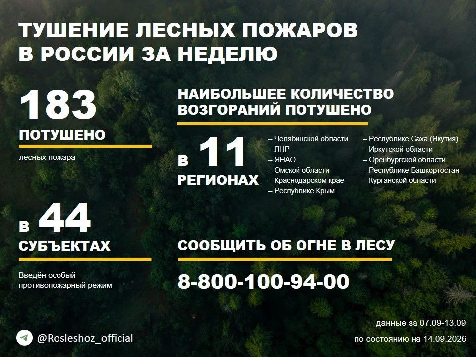 По данным Авиалесоохраны, подведомственной организации Рослесхоза, за прошедшую неделю потушено 183 лесных пожара в 31 регионе России