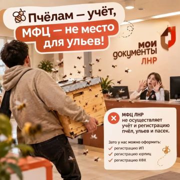 Пчёлам — учёт, МФЦ — не место для ульев