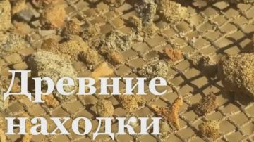 � ����������� ������ ����� ������ ���� ��������� ����� 40 ��� ���