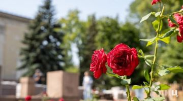 Скверы возле луганского автовокзала и «ГУМа» будут претендовать на восстановление по ФКГС